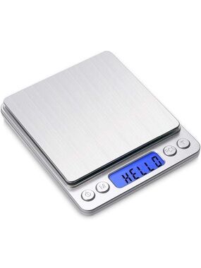 Digital Stainless Steel Mini Scale
